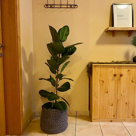 Appartement Auwald Forstau  Luaran gambar